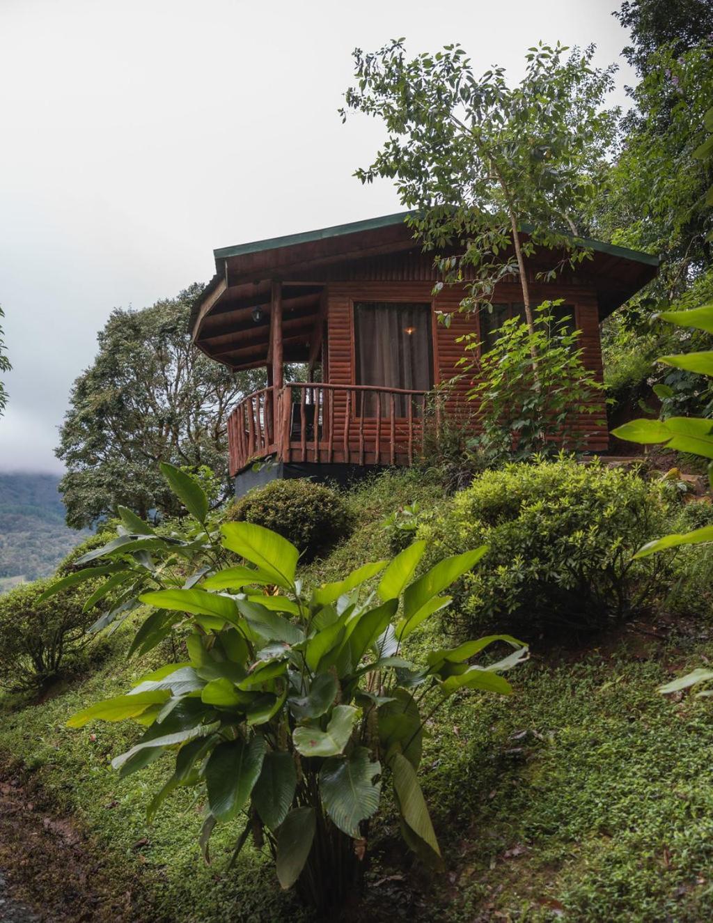 Cedrela Eco-Lodge & Restaurante Copey Exteriér fotografie