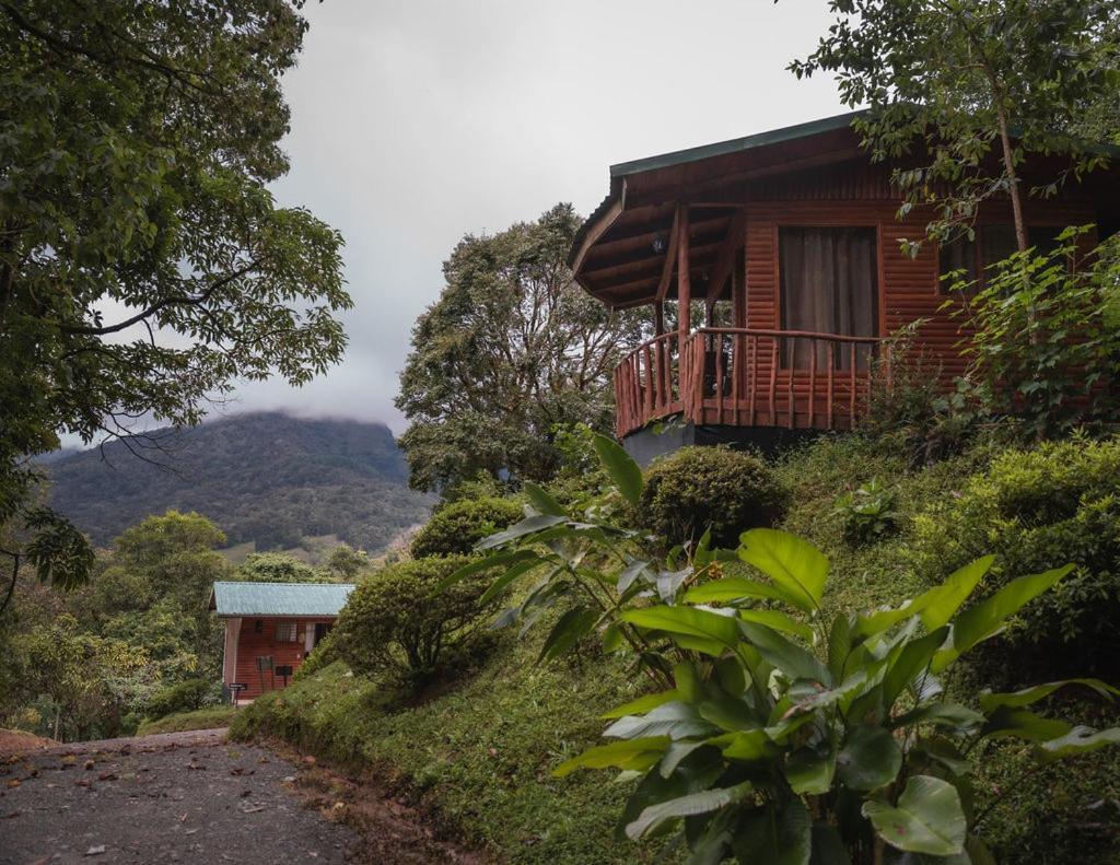 Cedrela Eco-Lodge & Restaurante Copey Exteriér fotografie