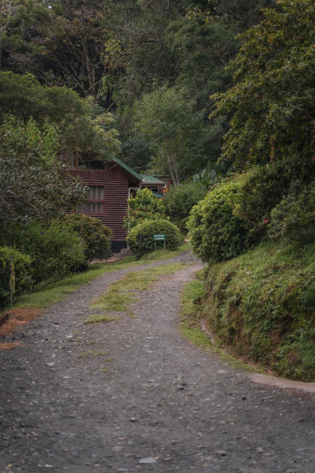 Cedrela Eco-Lodge & Restaurante Copey Exteriér fotografie