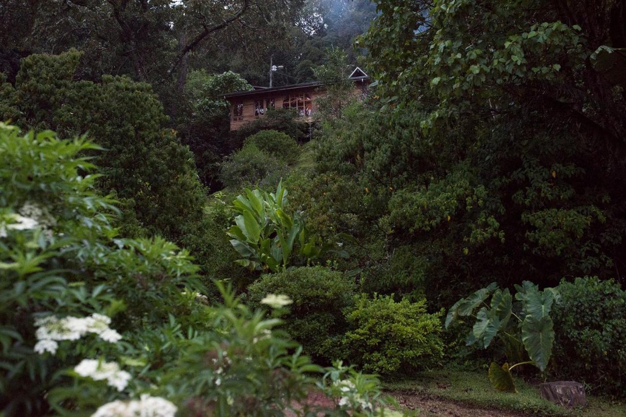 Cedrela Eco-Lodge & Restaurante Copey Exteriér fotografie